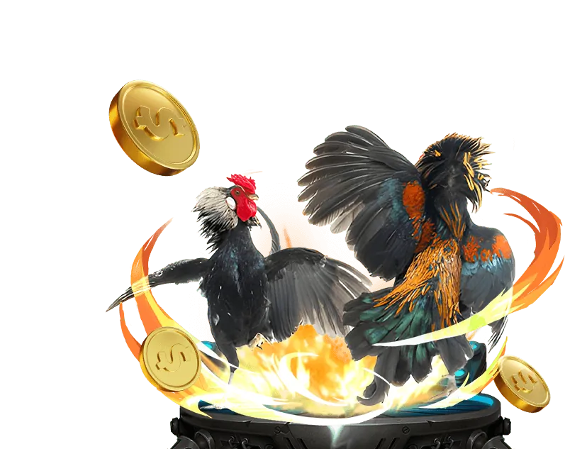 Tích hợp casino và đá gà Thomo